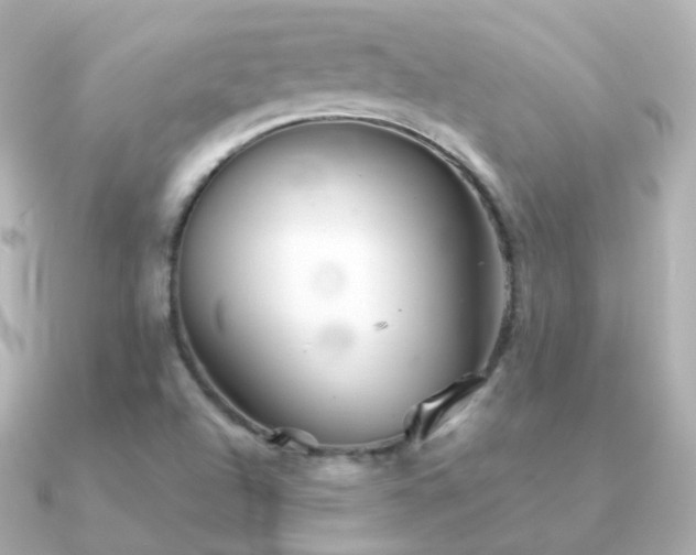 X0000091341504200708101434