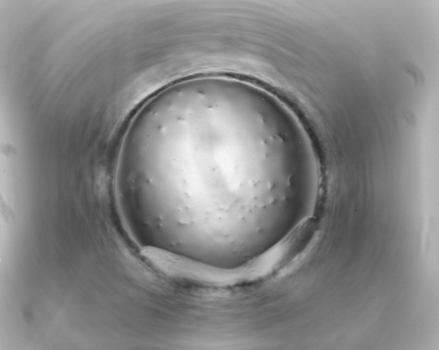 X0000091341505200708101434