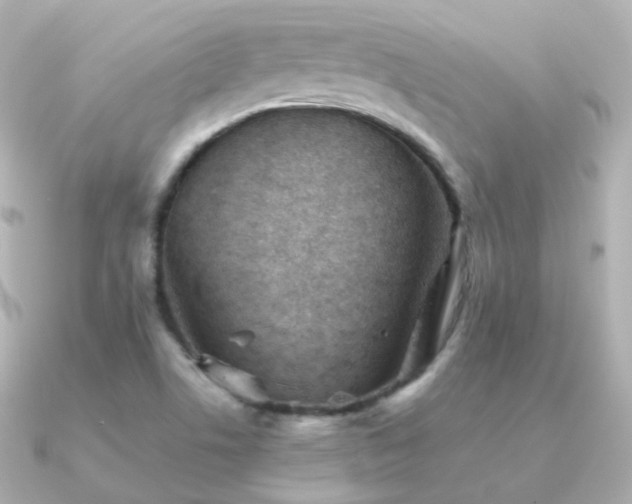 X0000091341506200708101434