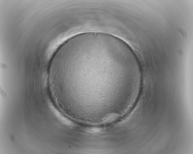 X0000091341507200708101434