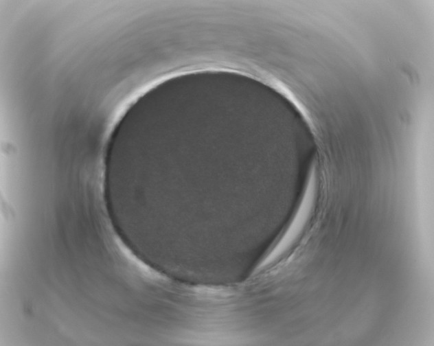 X0000091341508200708101434
