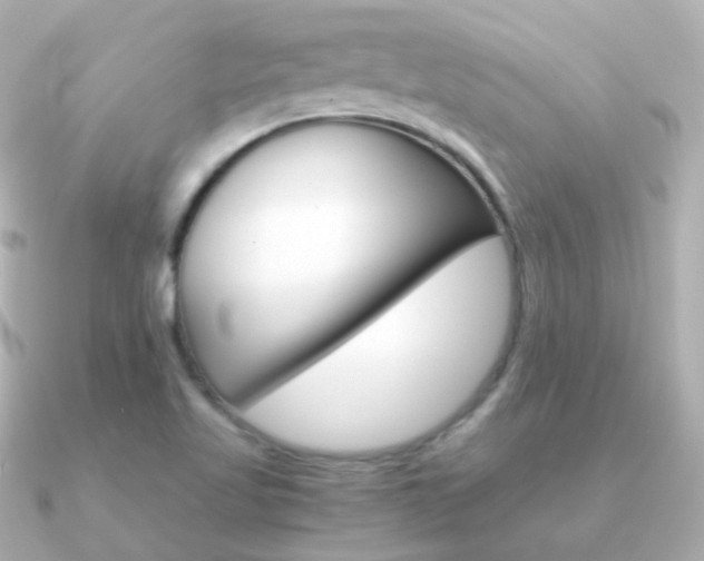 X0000091341509200708101434