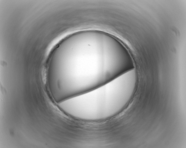 X0000091341510200708101434