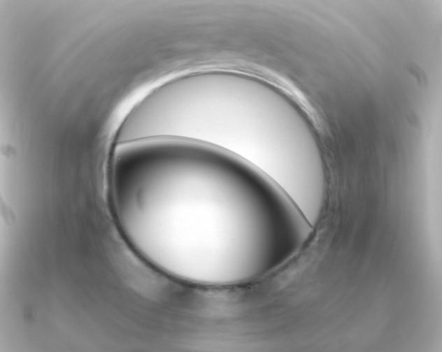 X0000091341512200708101434