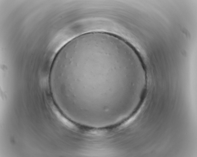 X0000091341513200708101434