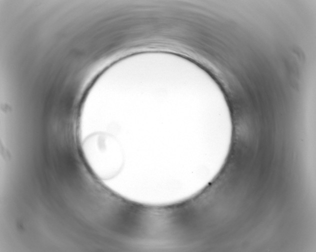 X0000091341514200708101434