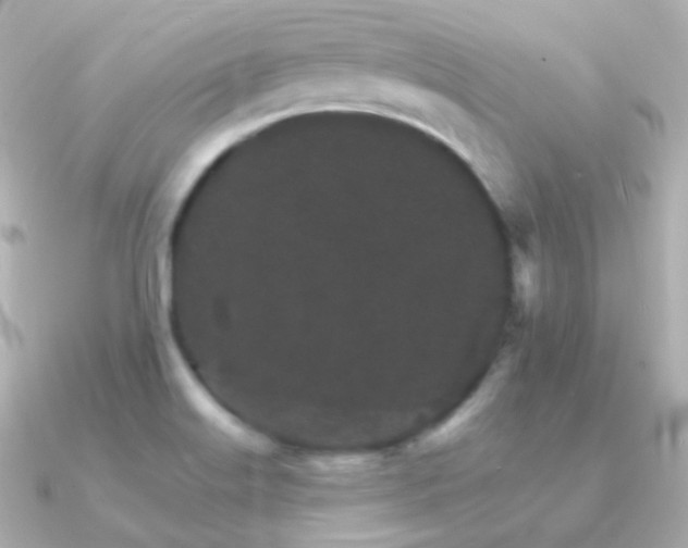 X0000091341515200708101434