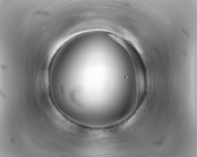 X0000091341516200708101434