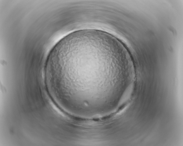 X0000091341517200708101434