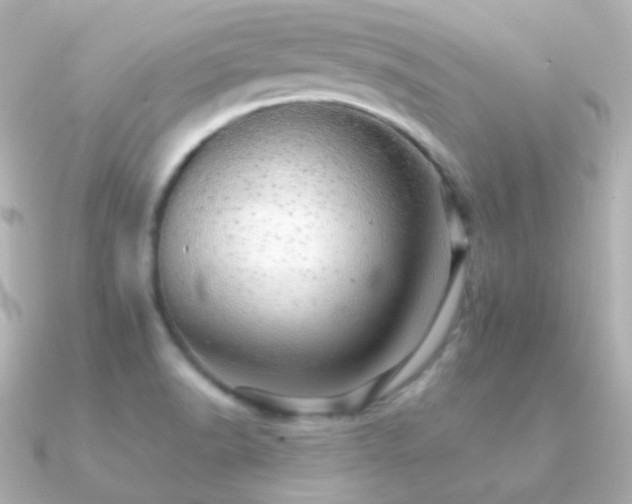 X0000091341518200708101434