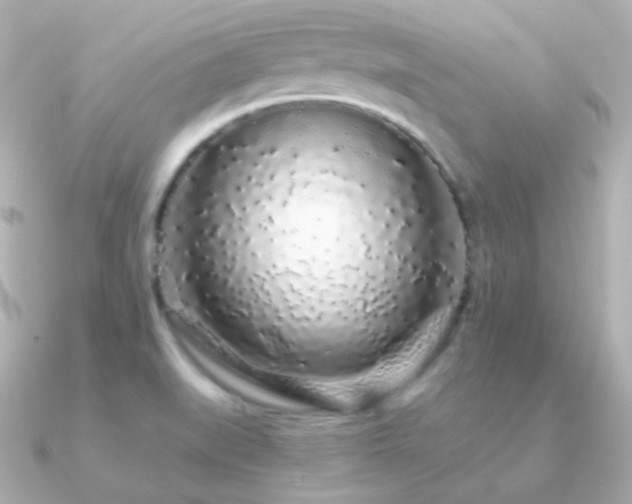 X0000091341519200708101434