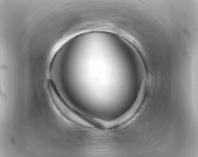 X0000091341520200708101434