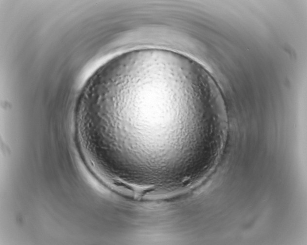 X0000091341523200708101434
