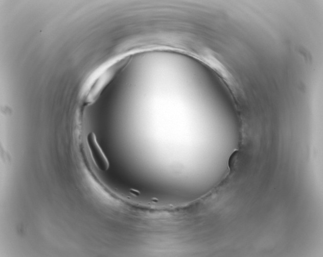 X0000091341524200708101434