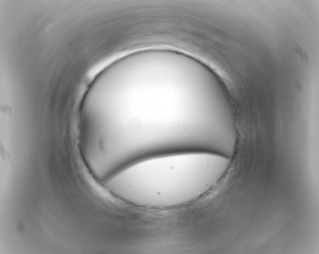 X0000091341526200708101434