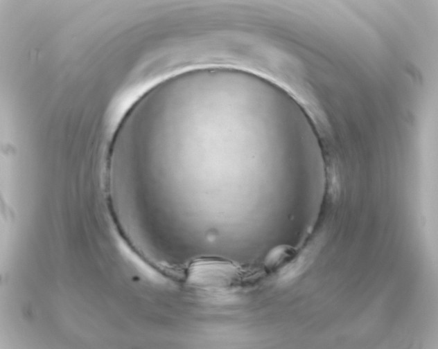 X0000091341527200708101434