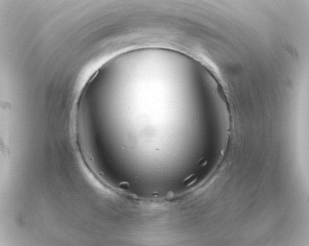 X0000091341528200708101434