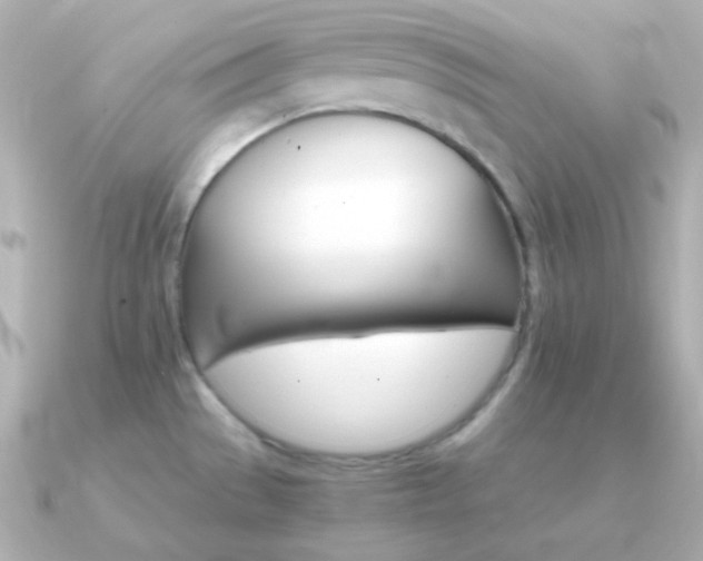 X0000091341529200708101434