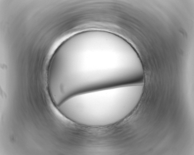 X0000091341531200708101434