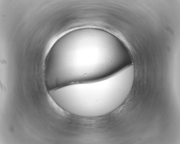 X0000091341532200708101434