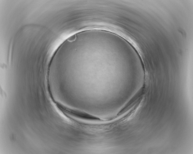 X0000091341533200708101434