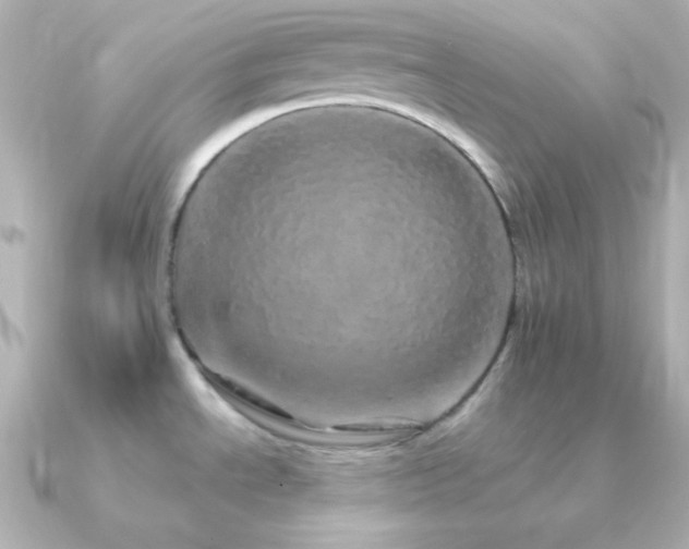 X0000091341534200708101434