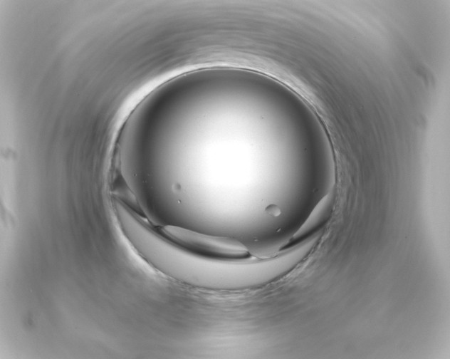 X0000091341536200708101435