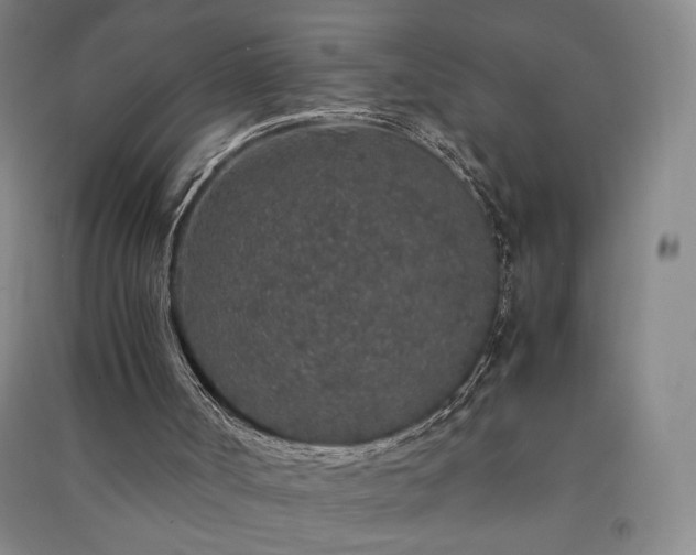 X0000091340002200708171420