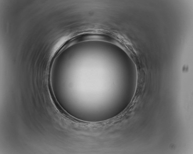 X0000091340003200708171420