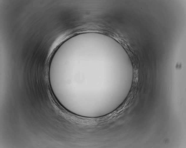 X0000091340004200708171420