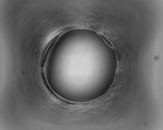 X0000091340005200708171420