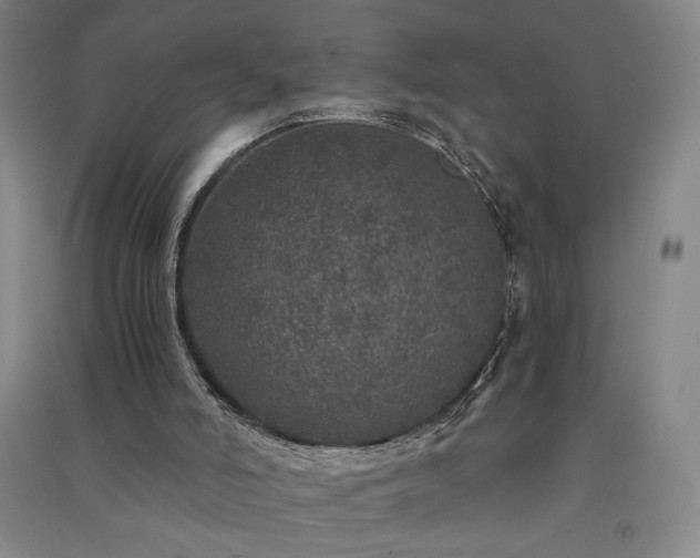 X0000091340006200708171420