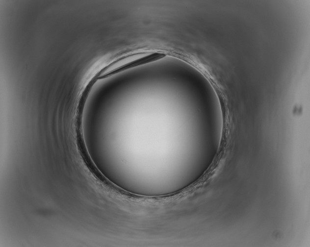 X0000091340007200708171420