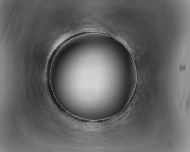 X0000091340008200708171420