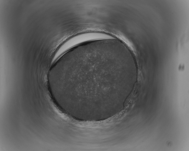 X0000091340009200708171420