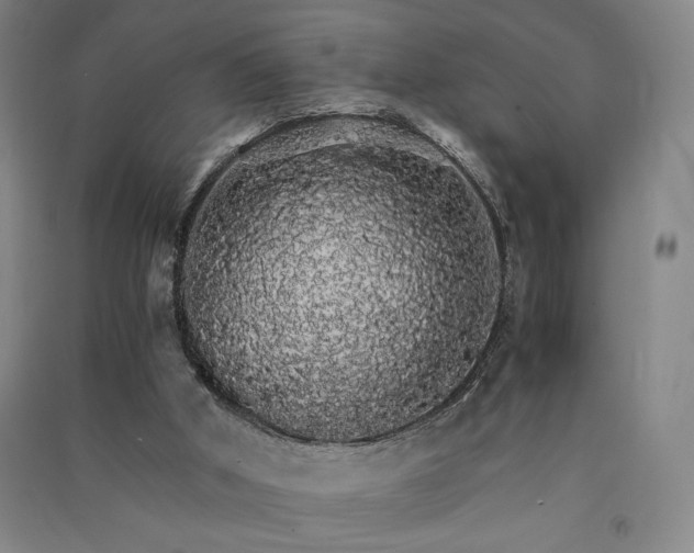 X0000091340010200708171420