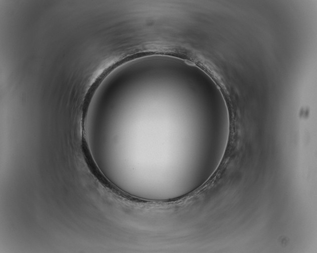 X0000091340011200708171420