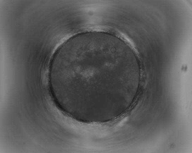 X0000091340012200708171420