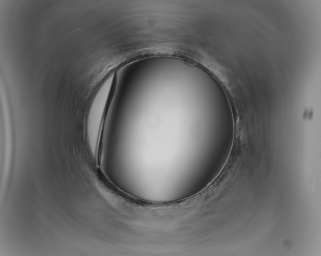 X0000091340013200708171420