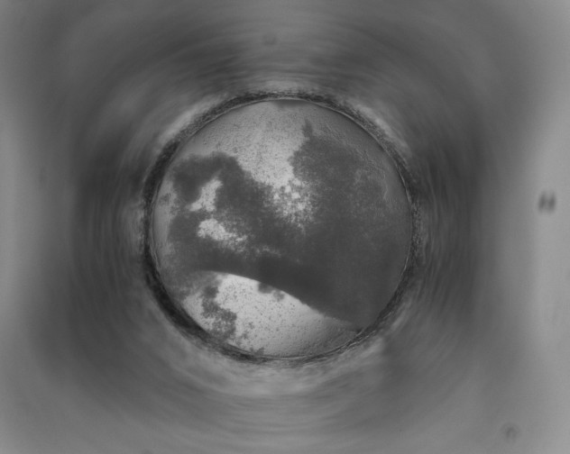 X0000091340016200708171420