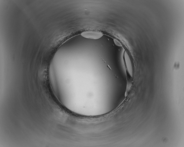 X0000091340017200708171420