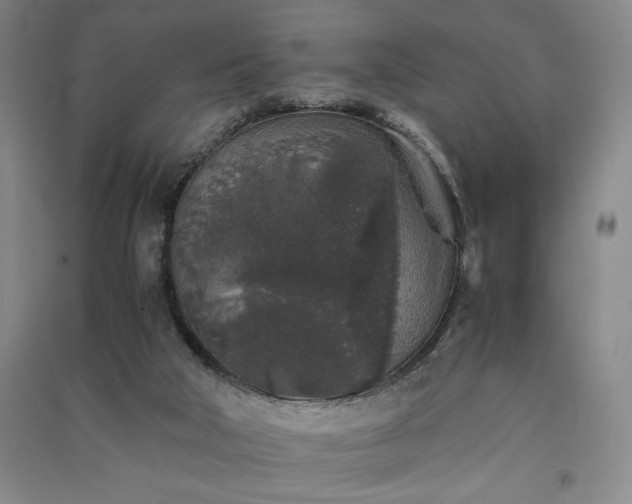 X0000091340018200708171420