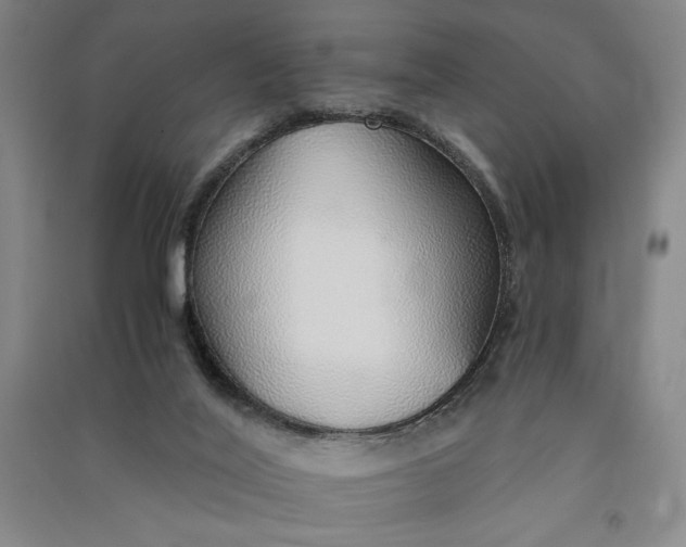 X0000091340020200708171420