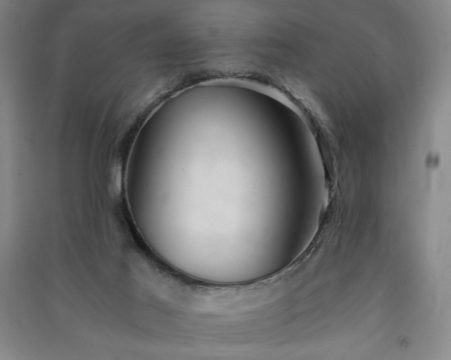 X0000091340021200708171420