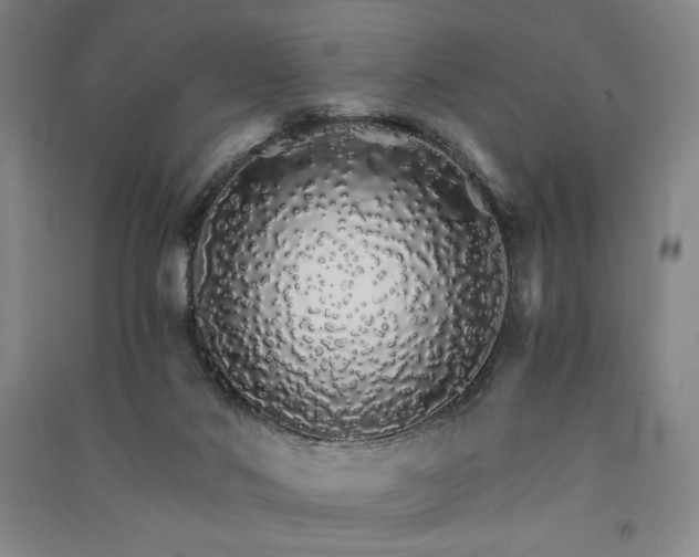 X0000091340022200708171420