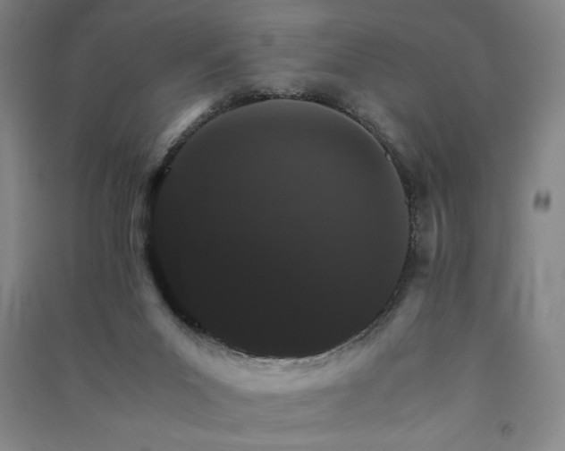 X0000091340023200708171420