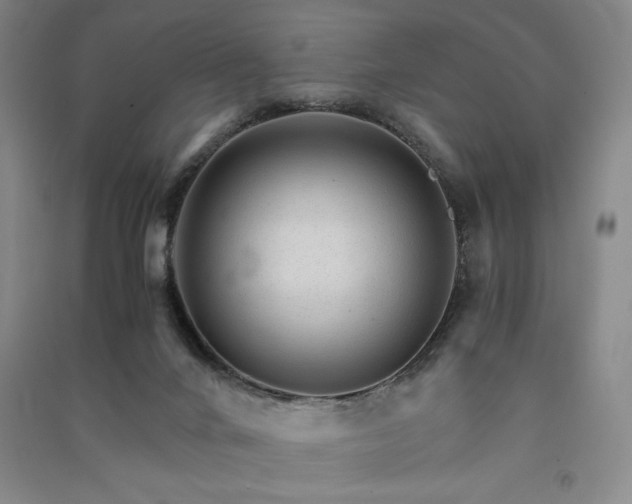 X0000091340024200708171420