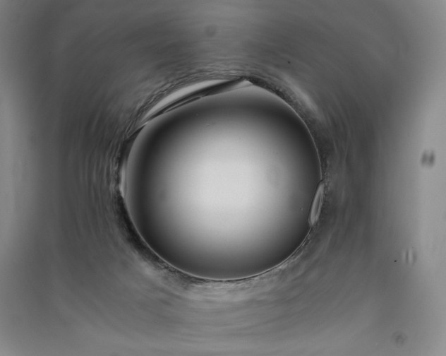 X0000091340025200708171420