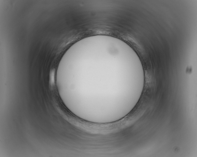 X0000091340028200708171420