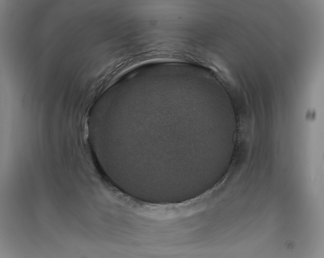 X0000091340029200708171420